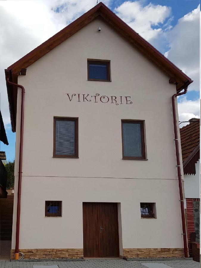 Apartman S Vinnym Sklepem Viktorie Pouzdrany Buitenkant foto