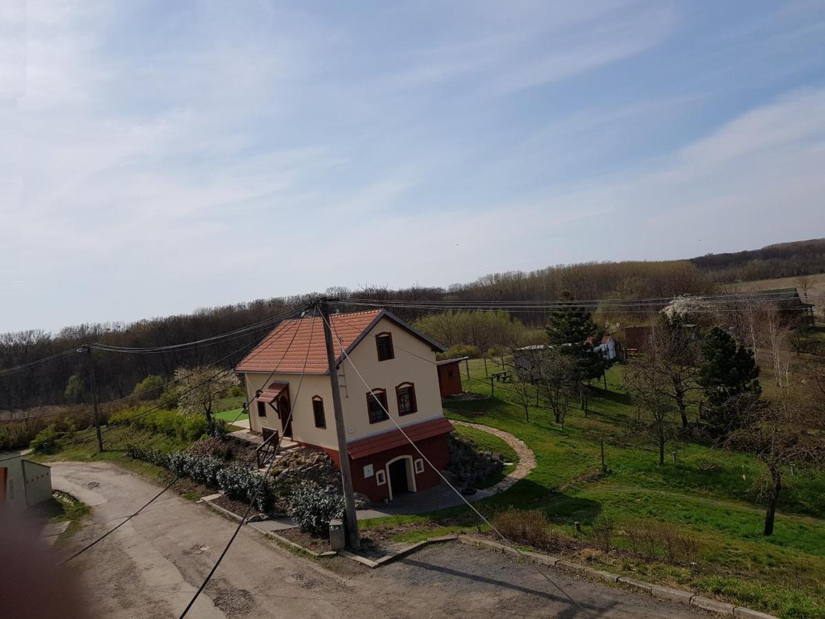Apartman S Vinnym Sklepem Viktorie Pouzdrany Buitenkant foto