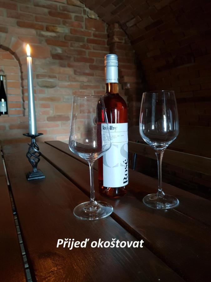 Apartman S Vinnym Sklepem Viktorie Pouzdrany Buitenkant foto
